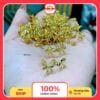 Hoa tai vàng tây nhỏ xinh 10 11 3 11zon 1