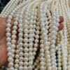 Dây chuyền ngọc trai 9 z7845618928771 f0960b7d9c9bcaa0bdfdef13175667ba
